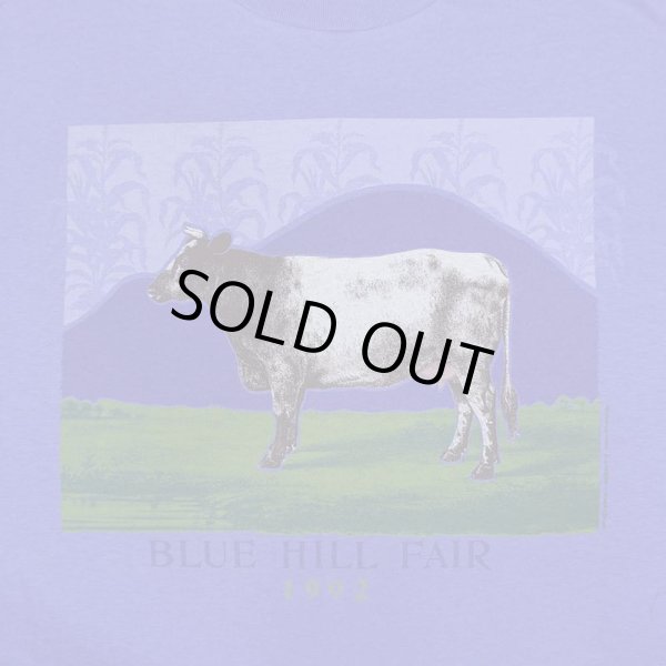 画像3: 90's LIBERTY GRAPHICS プリントTシャツ "DEADSTOCK / MADE IN USA / BLUE" (3)