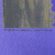 画像4: 90's LIBERTY GRAPHICS プリントTシャツ "DEADSTOCK / MADE IN USA / BLUE" (4)