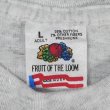 画像2: 90's Keeshond ドッグプリントTシャツ "Fruit of the loom body / MADE IN USA" (2)