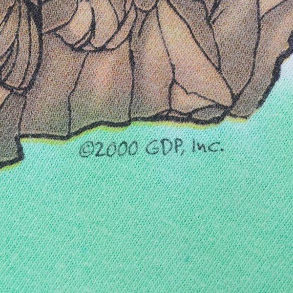 画像4: Early 00's Greateful Dead バンドTシャツ "Made by Liquid Blue" (4)