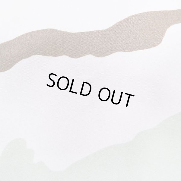 画像5: 00's US.ARMY ECWCS 3C デザートカモ柄 GORE-TEX PARKA "DEADSTOCK / XLARGE-REGULAR" (5)