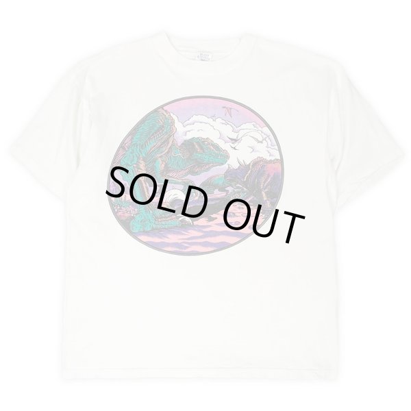 画像1: 90's BEAUX REVES プリントTシャツ "MADE IN USA" (1)