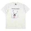 画像1: 90's Fruit of the loom ドッグプリントTシャツ "American Eskimo / MADE IN USA" (1)