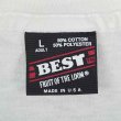 画像3: 90's Fruit of the loom ドッグプリントTシャツ "American Eskimo / MADE IN USA" (3)