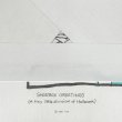 画像3: 80-90's SHOEBOX GREETINGS プリントTシャツ “MADE IN USA” (3)