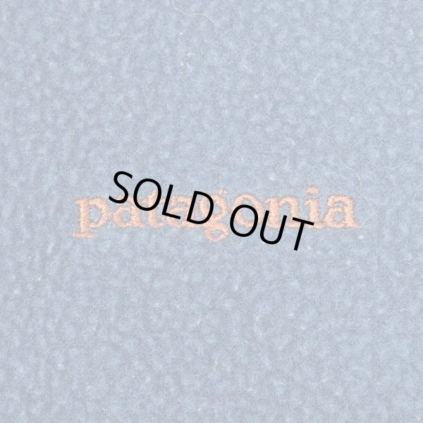 画像3: 00's Patagonia シンチラフリースベスト “BLUE” (3)