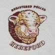 画像3: 60's Collegiate Mfg Co 染み込みプリントTシャツ (3)