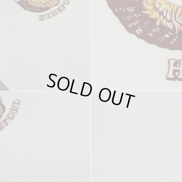 画像5: 60's Collegiate Mfg Co 染み込みプリントTシャツ (5)