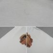 画像5: 90's Soft-Coated Wheaten Terrier ドッグプリントTシャツ "DEADSTOCK / MADE IN USA" (5)