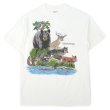 画像1: 80's MINESOTA STATE PARKS アニマルプリントTシャツ "MADE IN USA" (1)