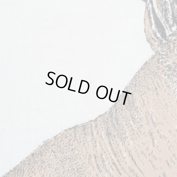 画像5: 80's MINESOTA STATE PARKS アニマルプリントTシャツ "MADE IN USA" (5)