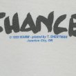 画像3: 90's GIVE THE PRINCE OF PEACE A CHANCE プリントTシャツ "MADE IN USA" (3)