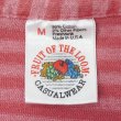 画像2: 90's Fluit of the Loom ボーダーTシャツ "MADE IN USA" (2)