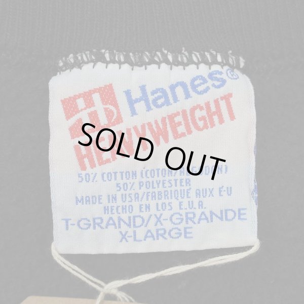 画像2: 90's The Dinosaur Project プリントスウェット "MADE IN USA" (2)