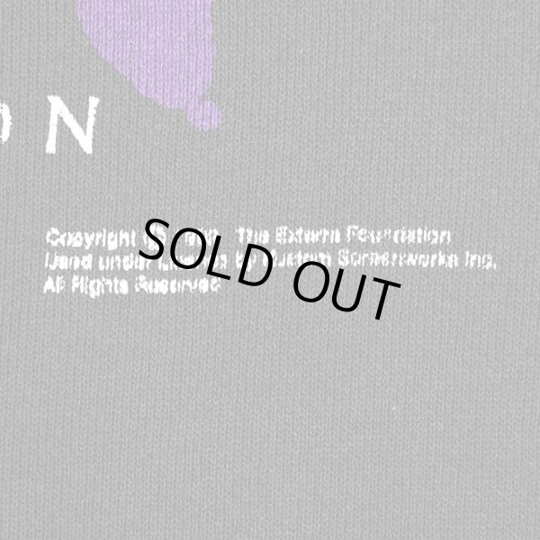 画像3: 90's The Dinosaur Project プリントスウェット "MADE IN USA" (3)