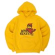 画像1: Early 80's DISCUS カレッジプリント スウェットパーカー "IOWA STATE / MADE IN USA" (1)