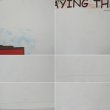 画像3: Late 90's Budweiser プリントTシャツ "PLAYING THRU!" (3)