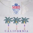 画像3: 90's CALIFORNIA スーベニアTシャツ "DEADSTOCK" (3)