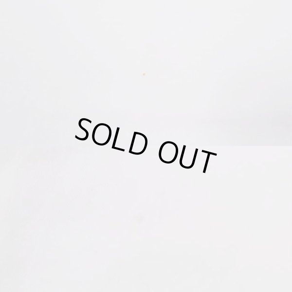 画像4: 90's CALIFORNIA スーベニアTシャツ "DEADSTOCK" (4)