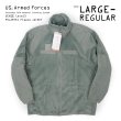 画像1: 【FOLIAGE GREEN / DEADSTOCK / LARGE-REGULAR】US. Armed Forces ECWCS GEN3 LEVEL3 POLARTEC フリースジャケット (1)