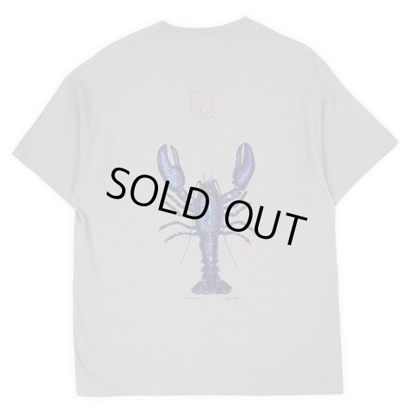 画像3: 00's LIBERTY GRAPHICS × Frank Lloyd Wright テストプリントTシャツ "DEADSTOCK" #24-10 (3)