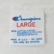 画像2: 80-90's Champion カレッジプリントTシャツ "HARVARD / MADE IN USA" (2)