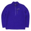 画像1: FA19 Patagonia レトロパイルプルオーバー (1)