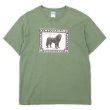 画像1: 00's NEWFOUNDLAND POSTAGE プリントTシャツ (1)