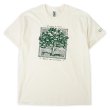 画像2: 00's LIBERTY GRAPHICS テストプリントTシャツ “DEADSTOCK” #23-1 (2)