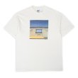 画像1: 90's ALISON SHAW フォトプリントTシャツ "Hanes BEEFY body" (1)