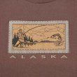 画像3: 90's ALASKA スーベニアTシャツ "ONEITA BODY / MADE IN USA" (3)