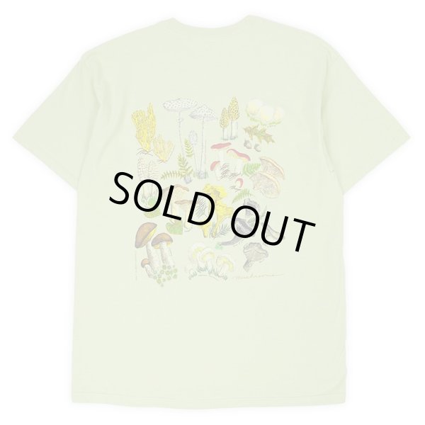 画像3: 00's LIBERTY GRAPHICS テストプリントTシャツ "DEADSTOCK" #24-13 (3)