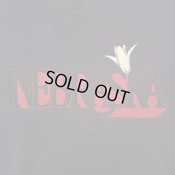 画像2: 90's NEBRASKA スーベニアスウェット "MADE IN USA" (2)