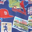 画像5: 00's MLB "St. Louis Cardinals" S/S レーヨン オープンカラーシャツ (5)
