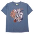 画像1: 00's Disney's ANIMAL KINGDOM プリントTシャツ (1)