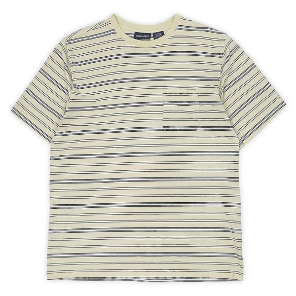 画像1: 90's Puritan マルチボーダー ポケットTシャツ “Light Green Base” (1)