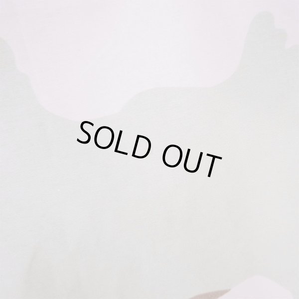 画像5: 00's US.ARMY ECWCS 3C デザートカモ柄 GORE-TEX PARKA "LARGE-SHORT / DEADSTOCK" (5)