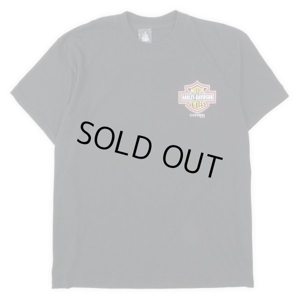 画像2: 00's HARLEY DAVIDSON 両面プリントTシャツ (2)