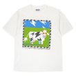 画像1: 80-90's COWS プリントTシャツ “MADE IN CANADA” (1)