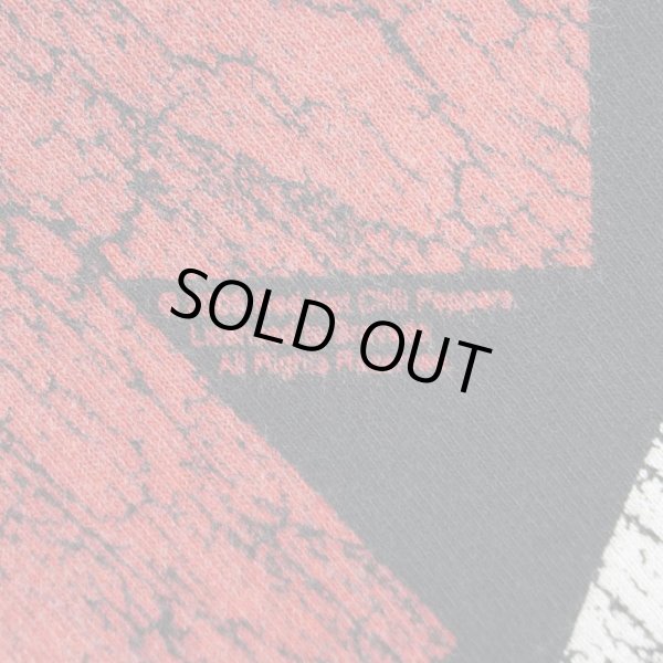 画像3: 00's RED HOT CHILI PEPPERS バンドTシャツ (3)