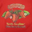 画像3: 90's North Carolina Straberry Festival プリントTシャツ "MADE IN USA" (3)