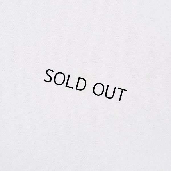 画像3: 00's MICHIGAN スーベニアスウェット (3)