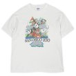 画像1: 90's SANDIEGO ZOO スーベニアTシャツ "White / Hanes BEEFY body" (1)