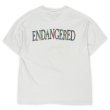 画像2: 90's SANDIEGO ZOO スーベニアTシャツ "White / Hanes BEEFY body" (2)