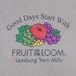画像2: 00's Fruit of the loom ロゴプリントTシャツ (2)