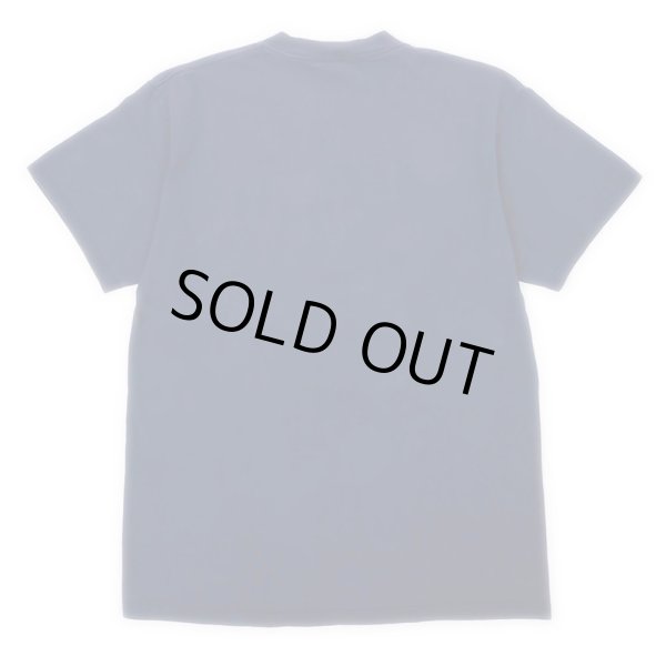 画像2: 90's ARIZONA スーベニアTシャツ (2)