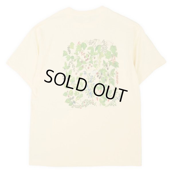 画像3: 00's LIBERTY GRAPHICS テストプリントTシャツ “DEADSTOCK / Beneficial T's Body” #19 (3)