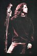 画像3: 90's The doors フォトプリントTシャツ (3)