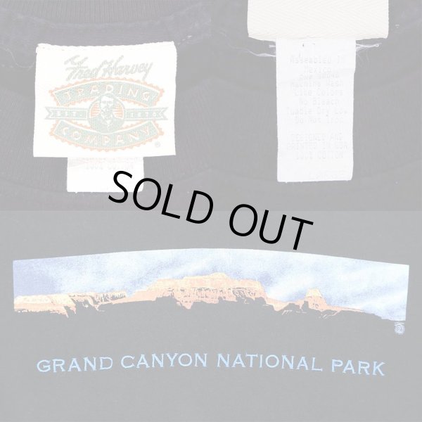 画像3: 90's GRAND CANYON NATIONAL PARK スーベニアTシャツ (3)