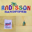 画像2: 90's RADISSON SANDPIPER スーベニアTシャツ (2)